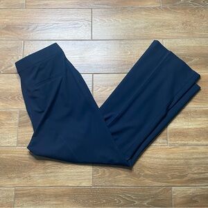 Ann Taylor 10 Blue Dress Pants
